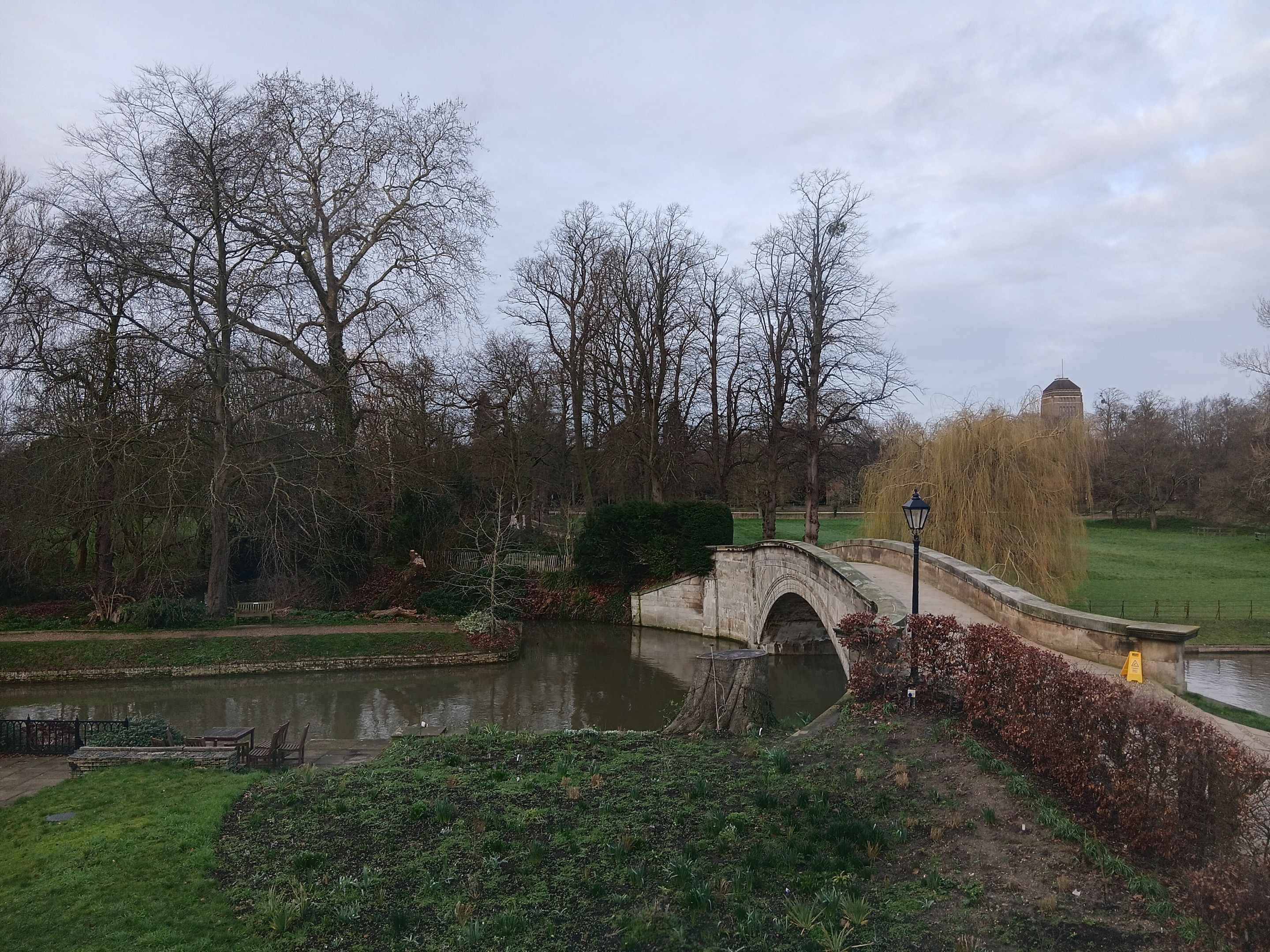 View of bridge and trees