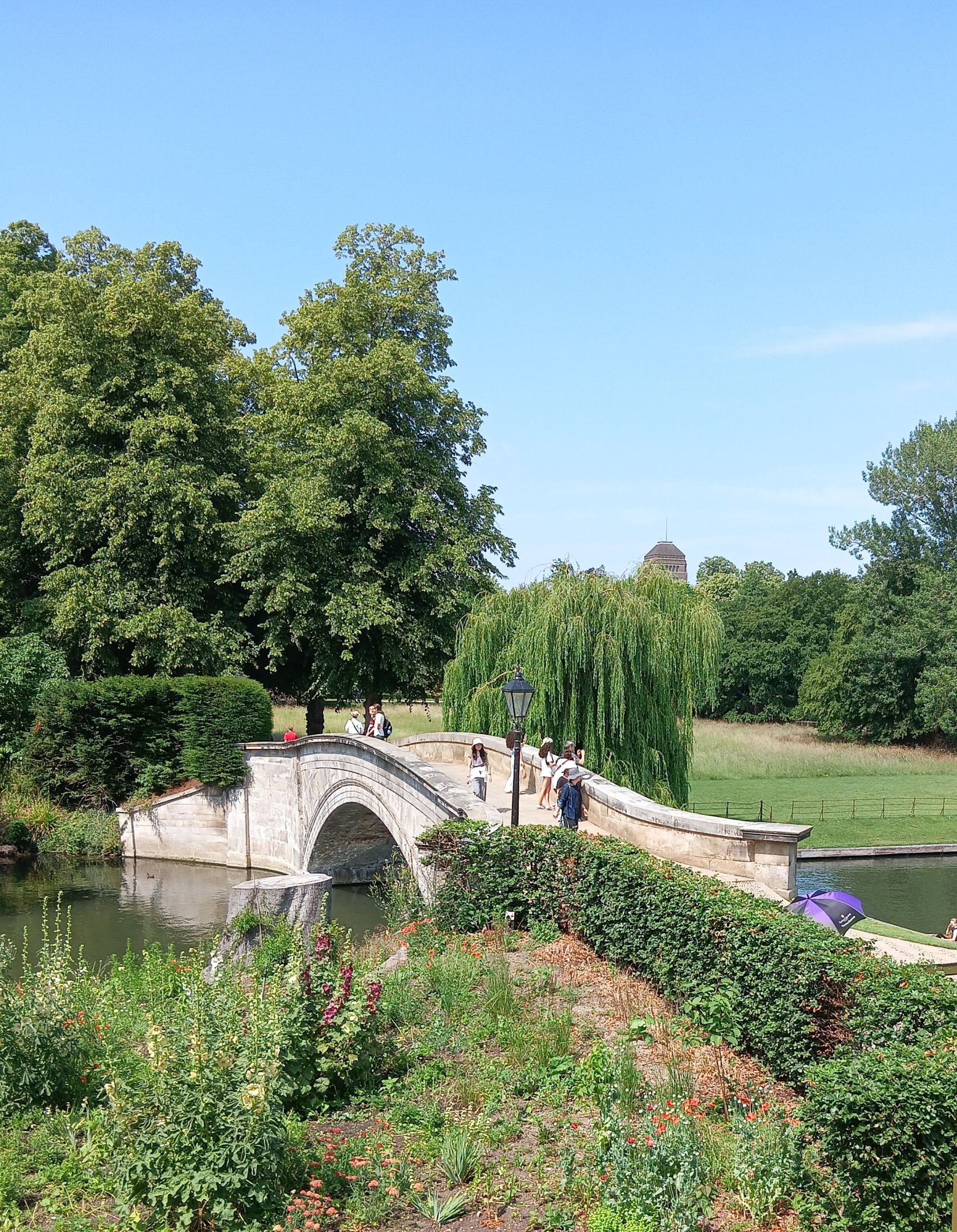 A bridge over a river with trees 