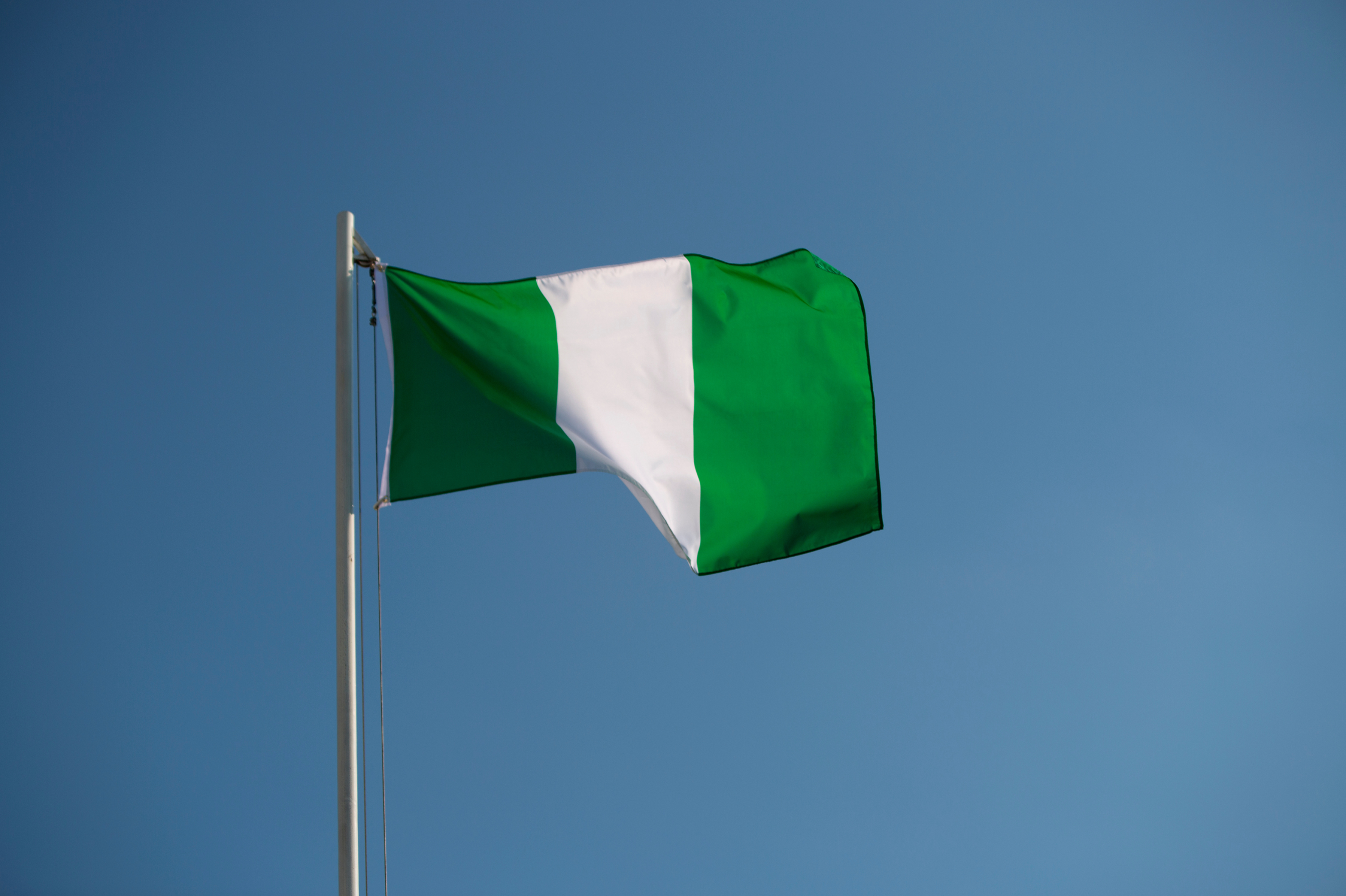 Nigerian flag