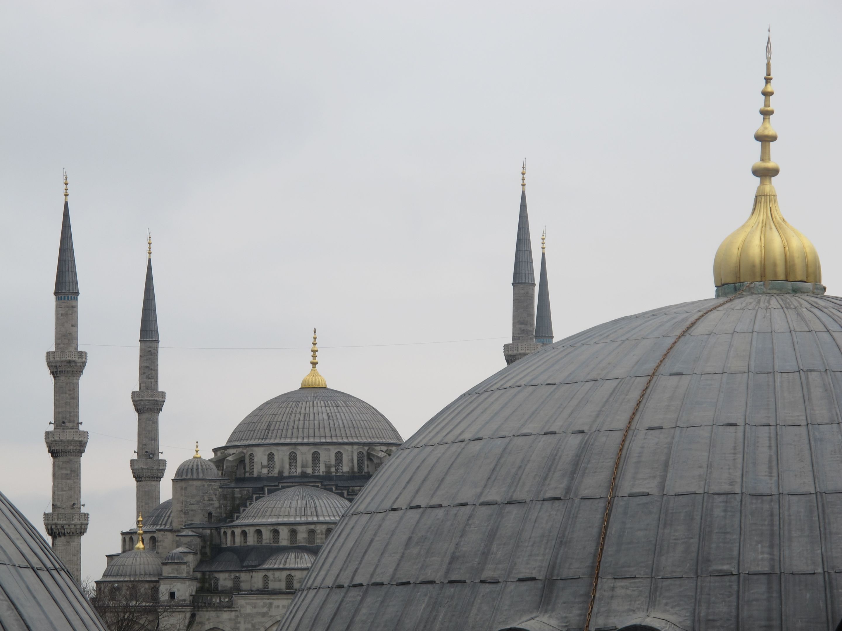 Grey domes and minarets in the ottoman style, one with golden finial, against a grey sky