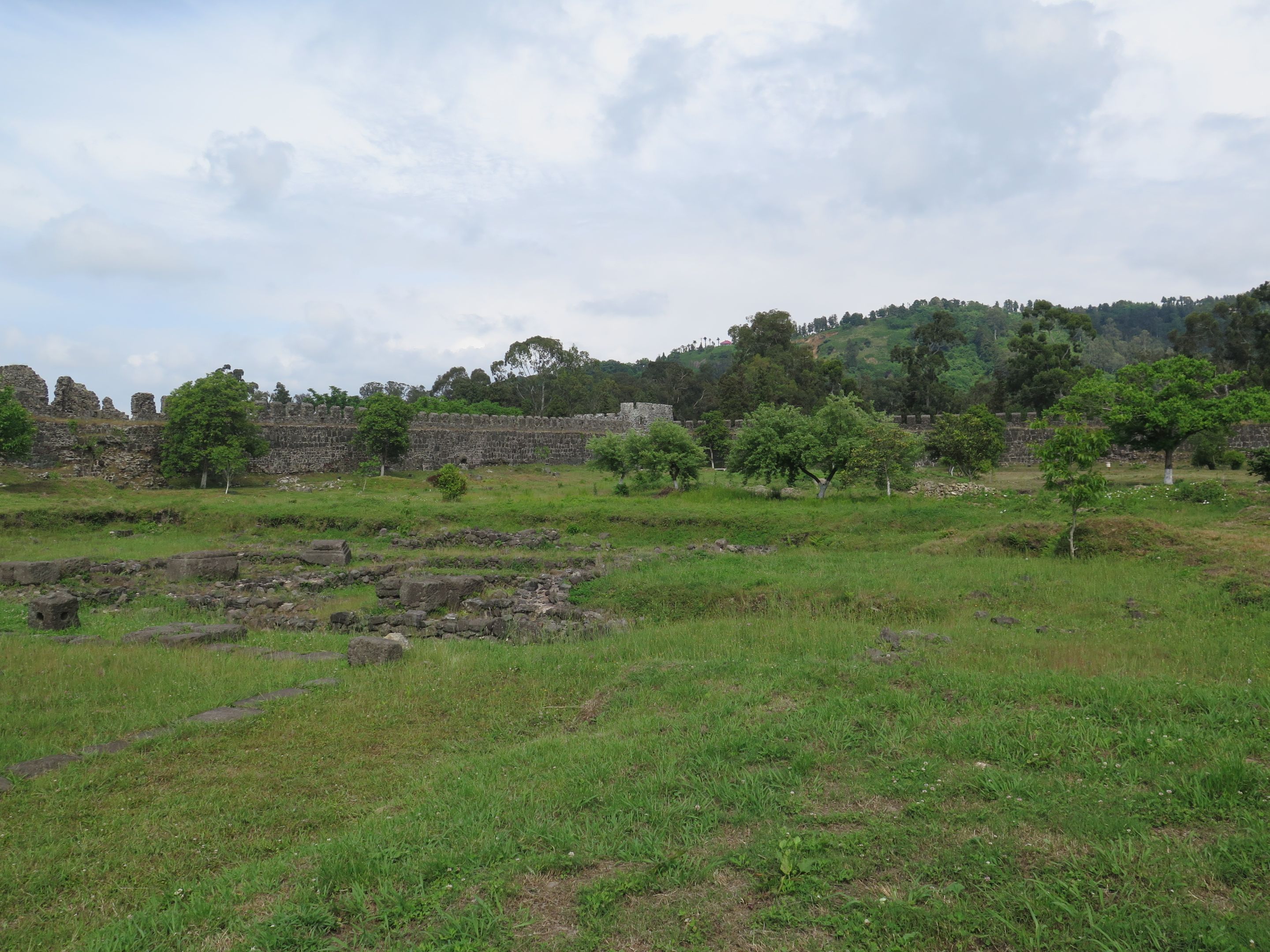 Grey stone ruins on a green, leafy landscape