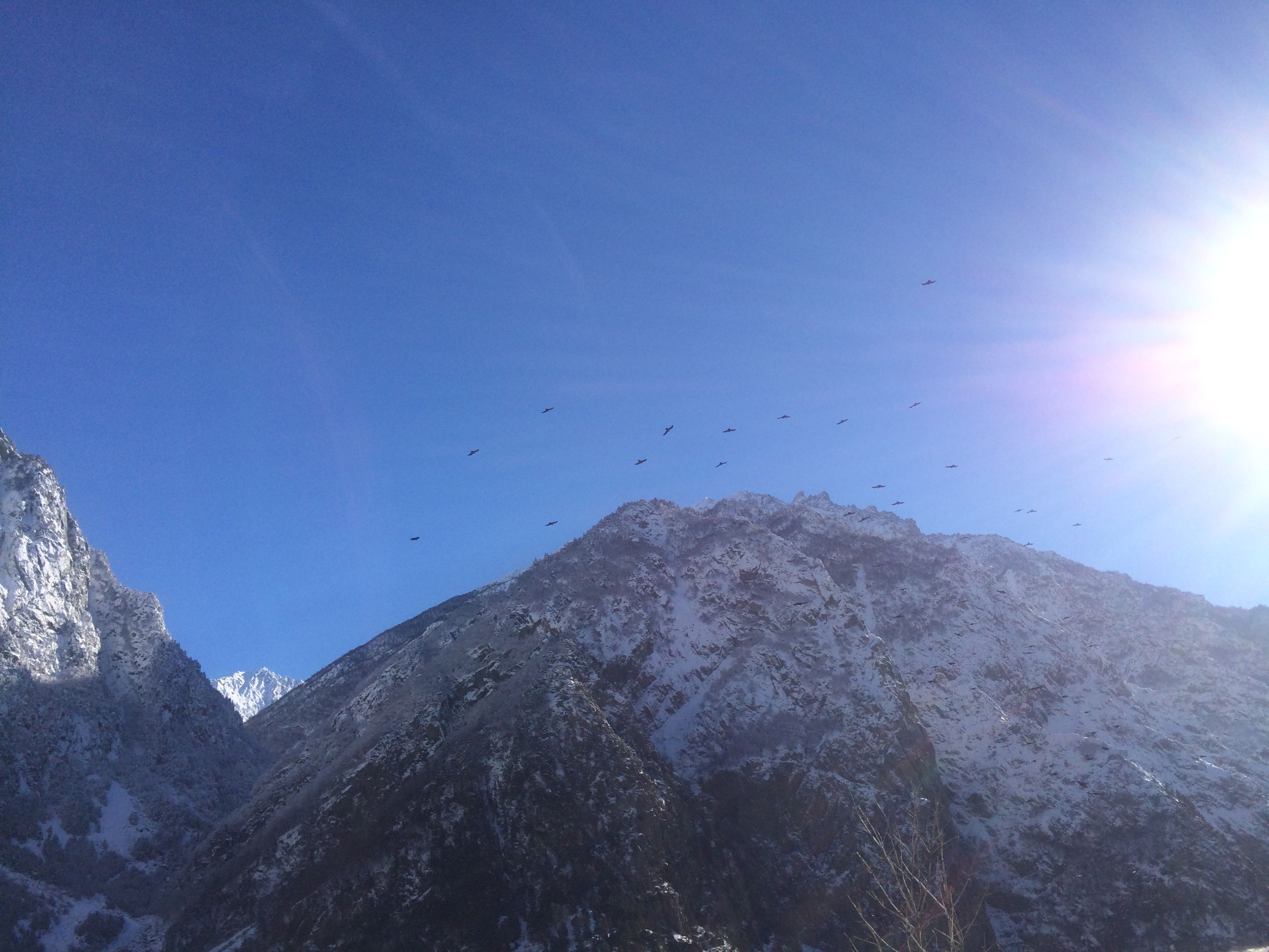 snowy mountaintop against blue sky with birds flying in front