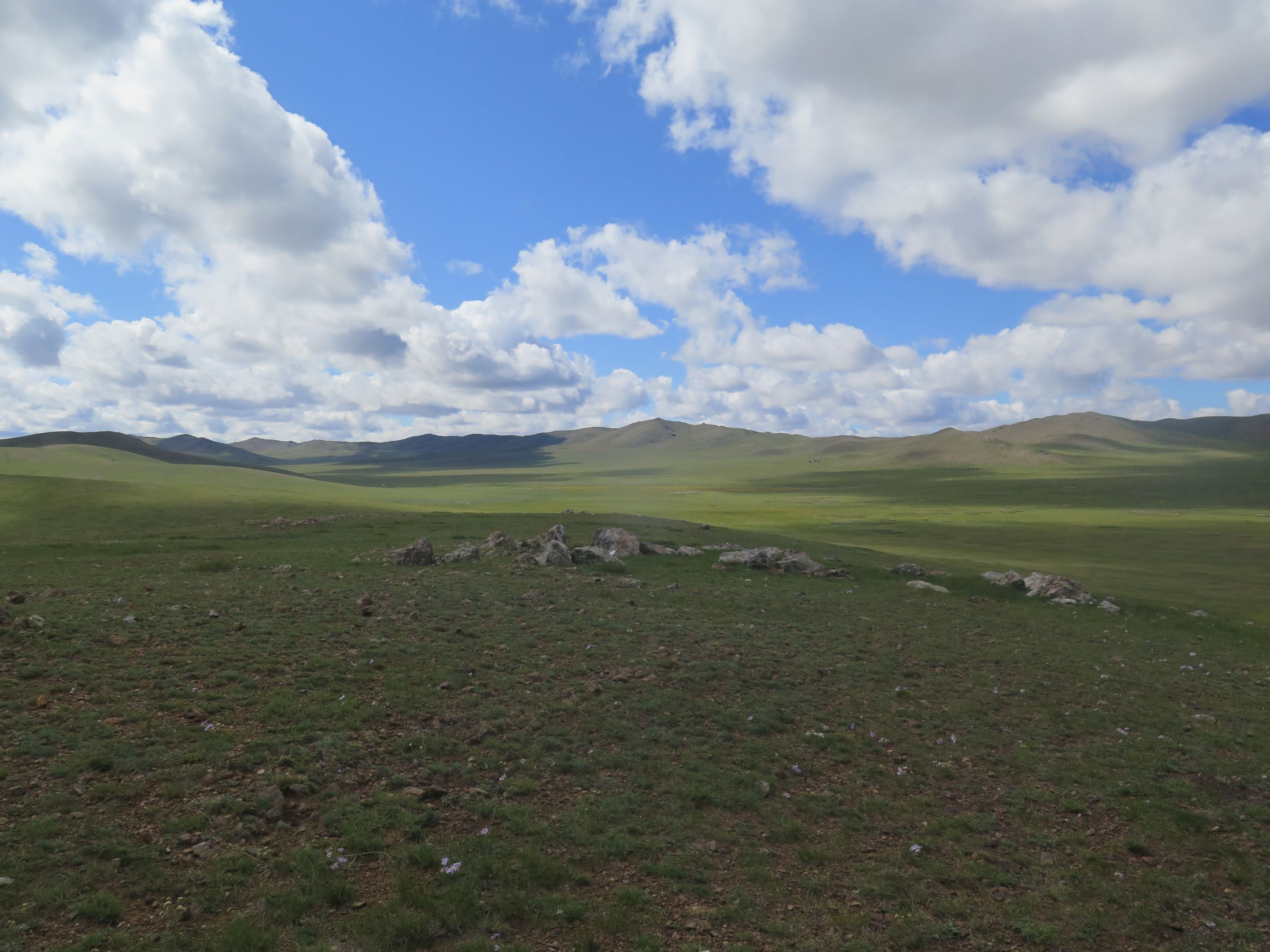 Grassy, stppe landscape with bright cloudy sky