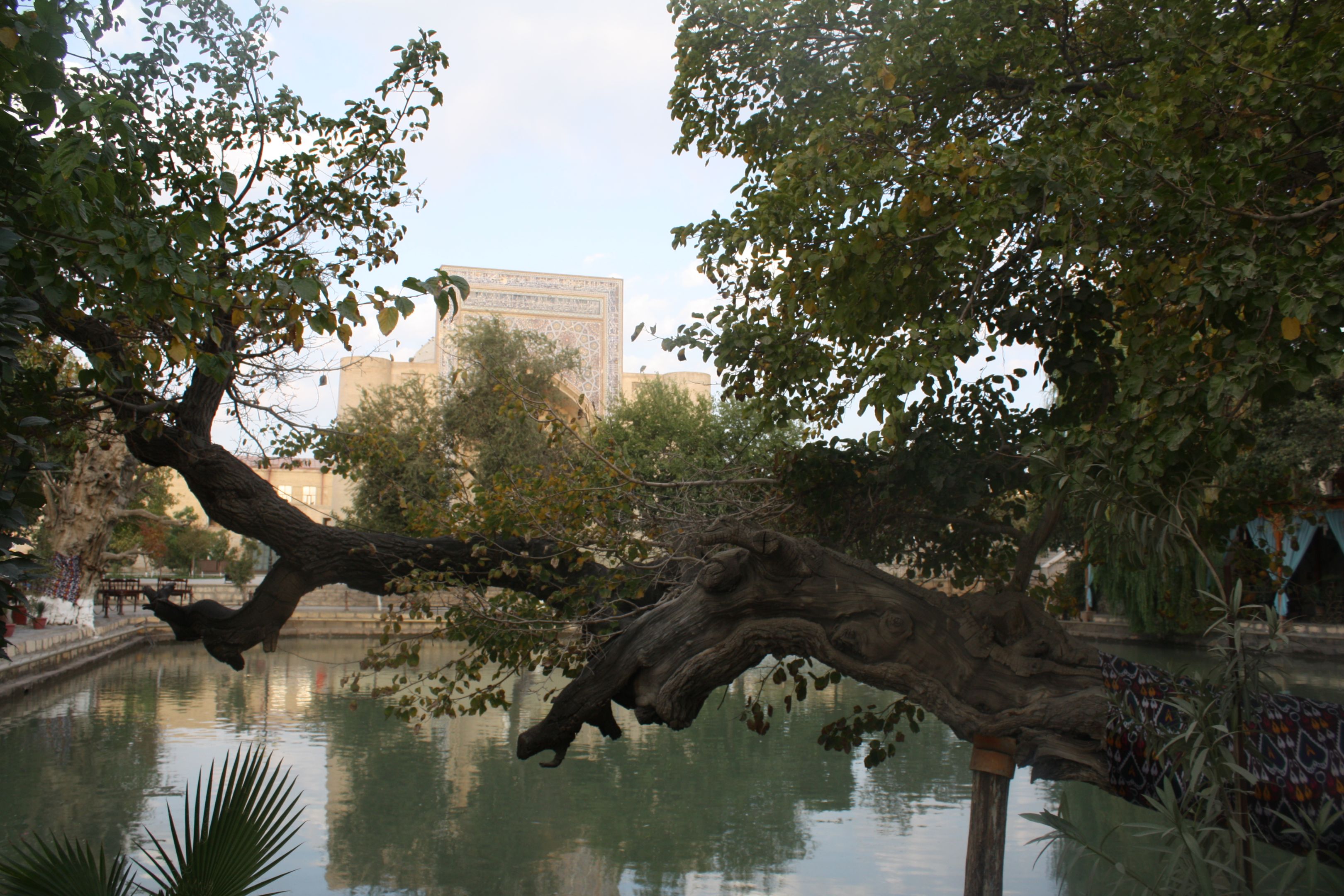 Water pool with tree growing ower and pale brick monumental building behind