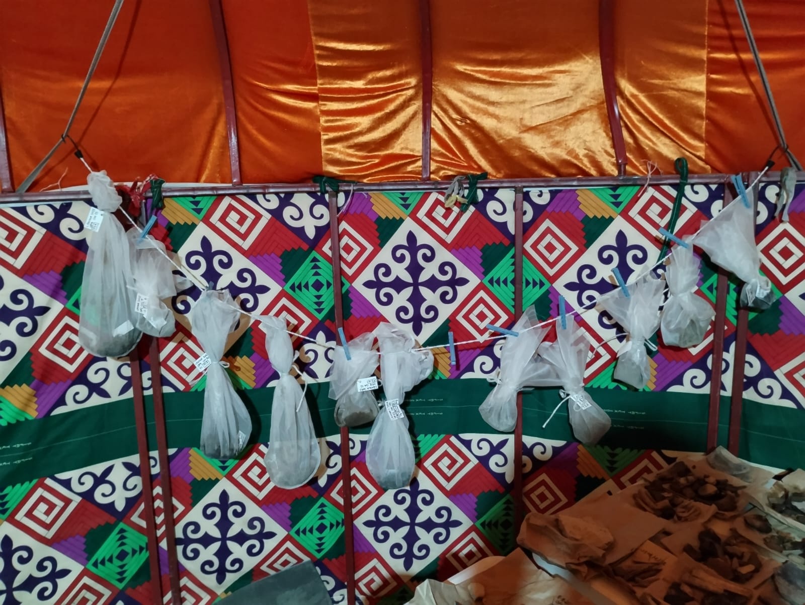 Small mesh bags holding charred plant remains, drying inside a brightly coloured Kazakh tent with and orange roof and geometric designs on the interior walls