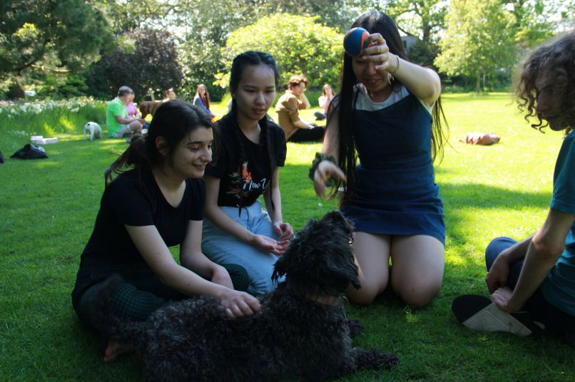 Students playing with a dog on fellows garden. 