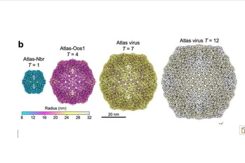 CellaNexa - range of nanoparticle structures