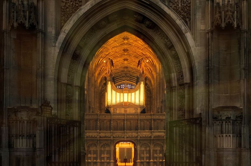 Illuminated organ