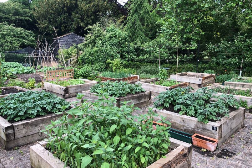Allotments