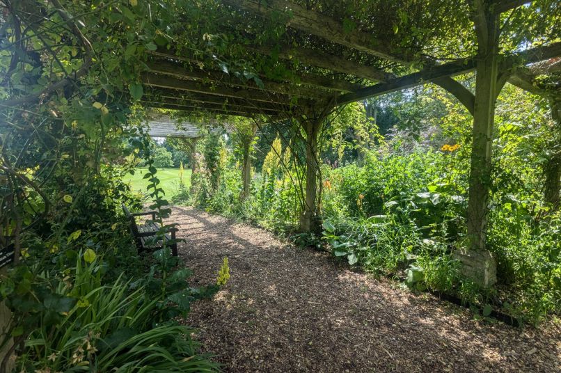 A pergola covered in vines and plants