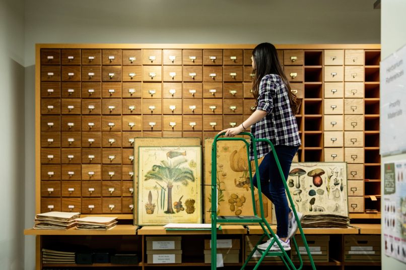 Student searching through archives