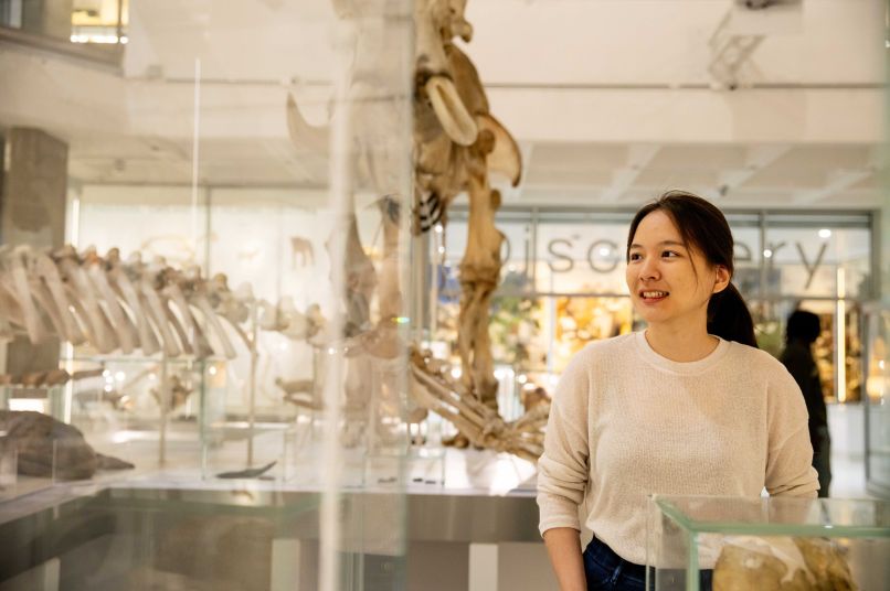 Student in the Museum of Zoology