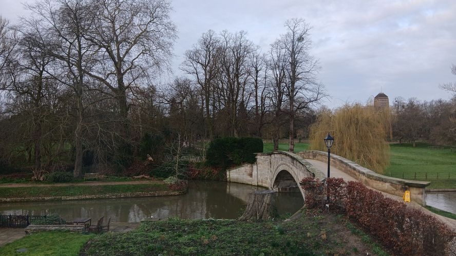 View of bridge and trees