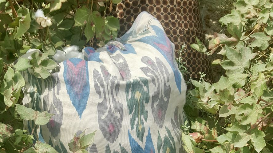 A painted stone surrounded by leaves