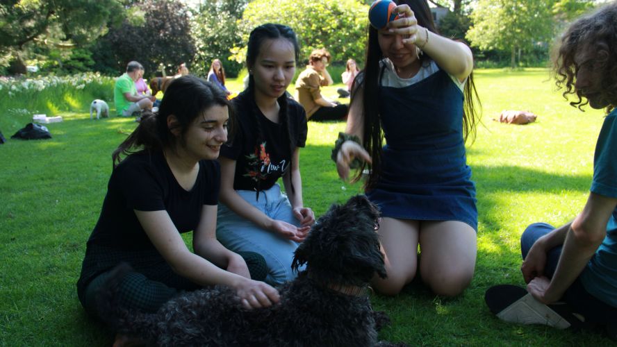 Students playing with therapy dogs in the Fellows' Garden