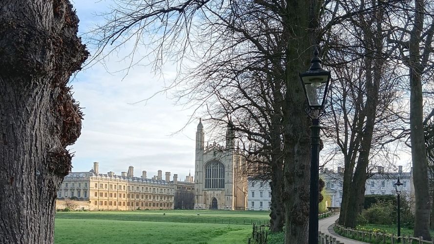 Trees in front of a college building with a path leading up to it on the side. 