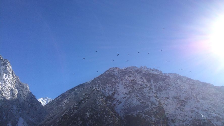 snowy mountaintop against blue sky with birds flying in front