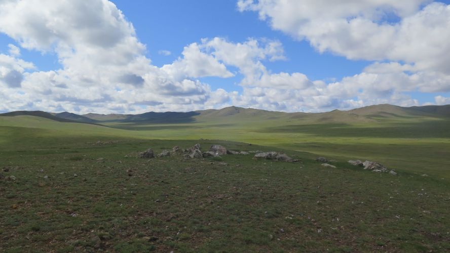 Grassy, stppe landscape with bright cloudy sky