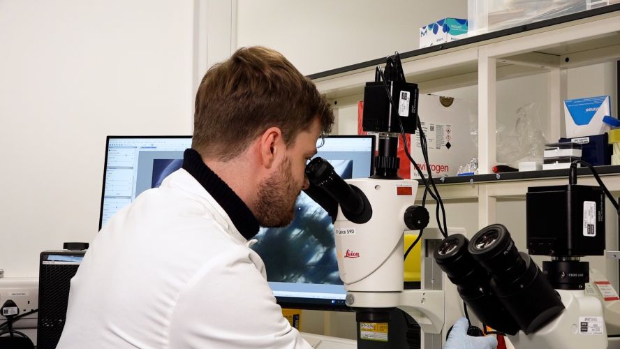 Man looking into a microscope