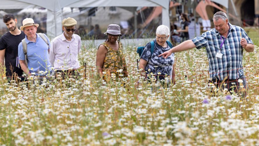 Head Gardener showing visitors the Wildflower Meadow