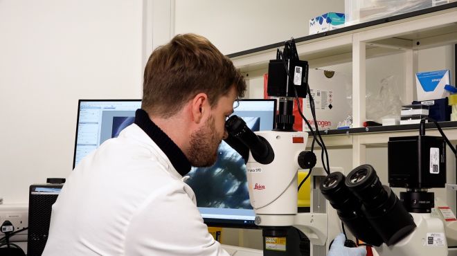 Man looking into a microscope