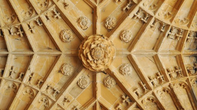 Intricate ceiling pattern