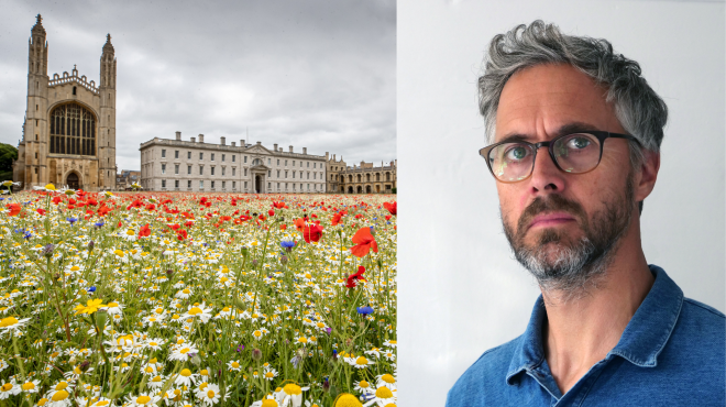 collage image of wildflower meadow and of a white male wearing glasses