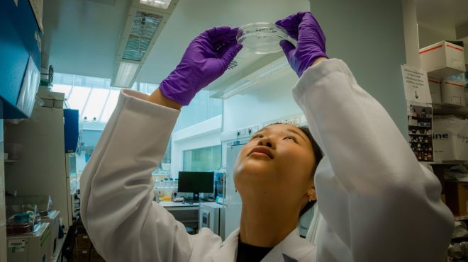 Undergraduate researcher in the lab