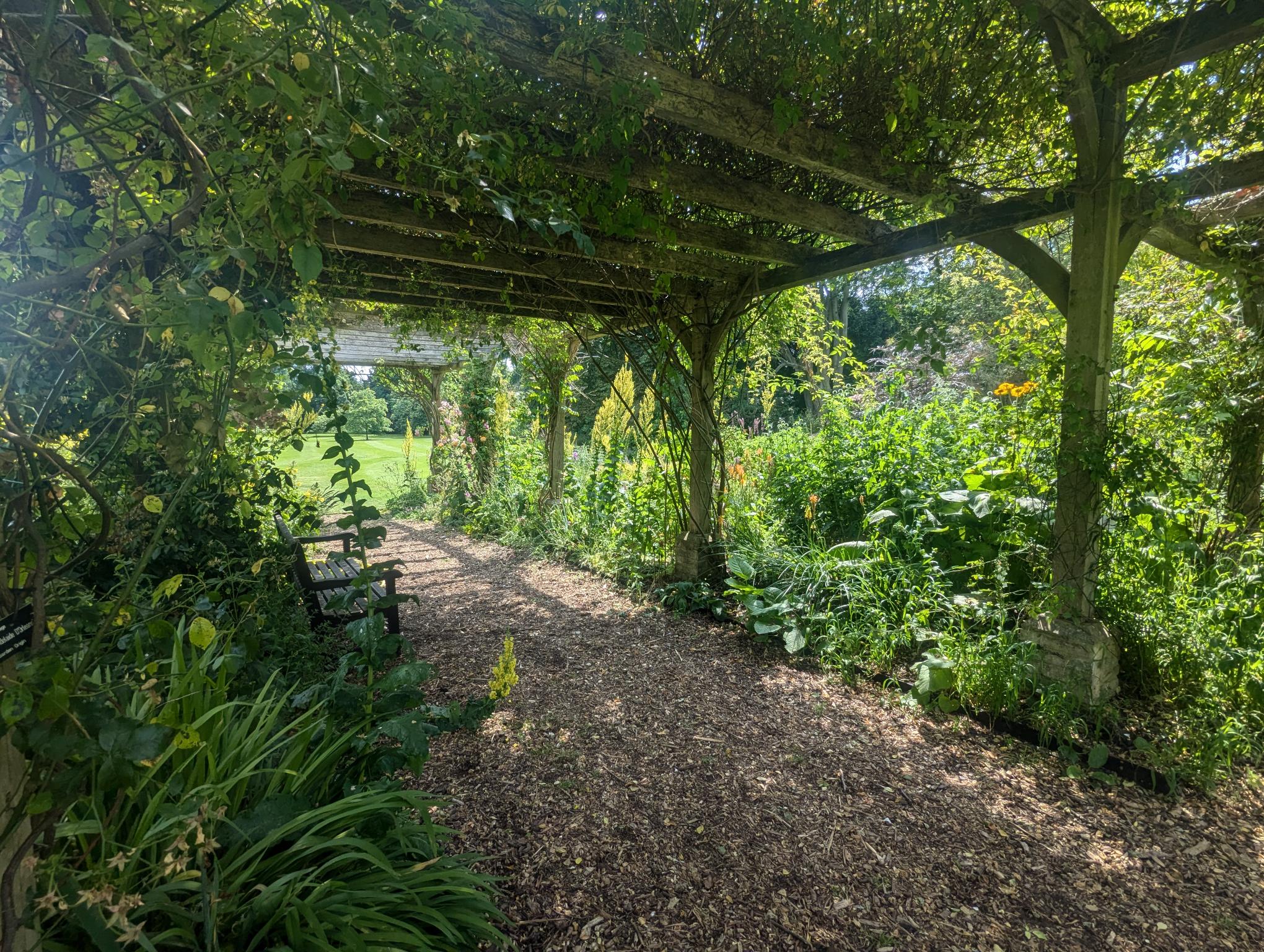 pergola in the fellows garden