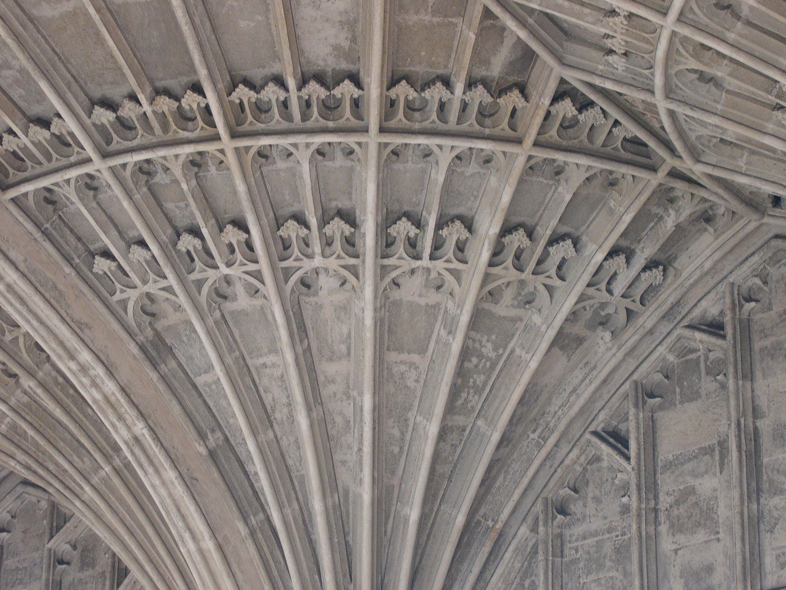 decorative image