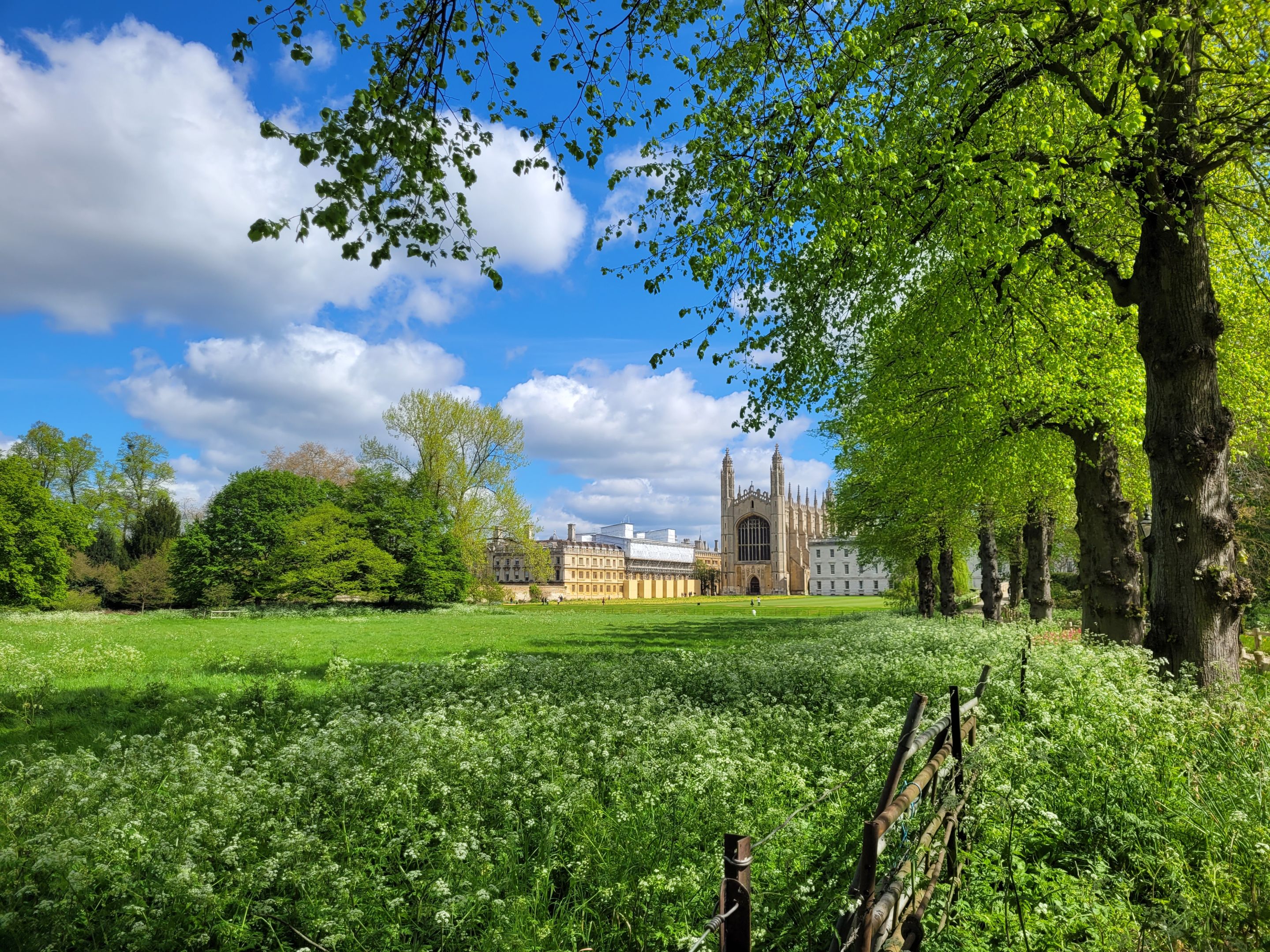 Blue sky and white clouds with a green field and trees in the foreground