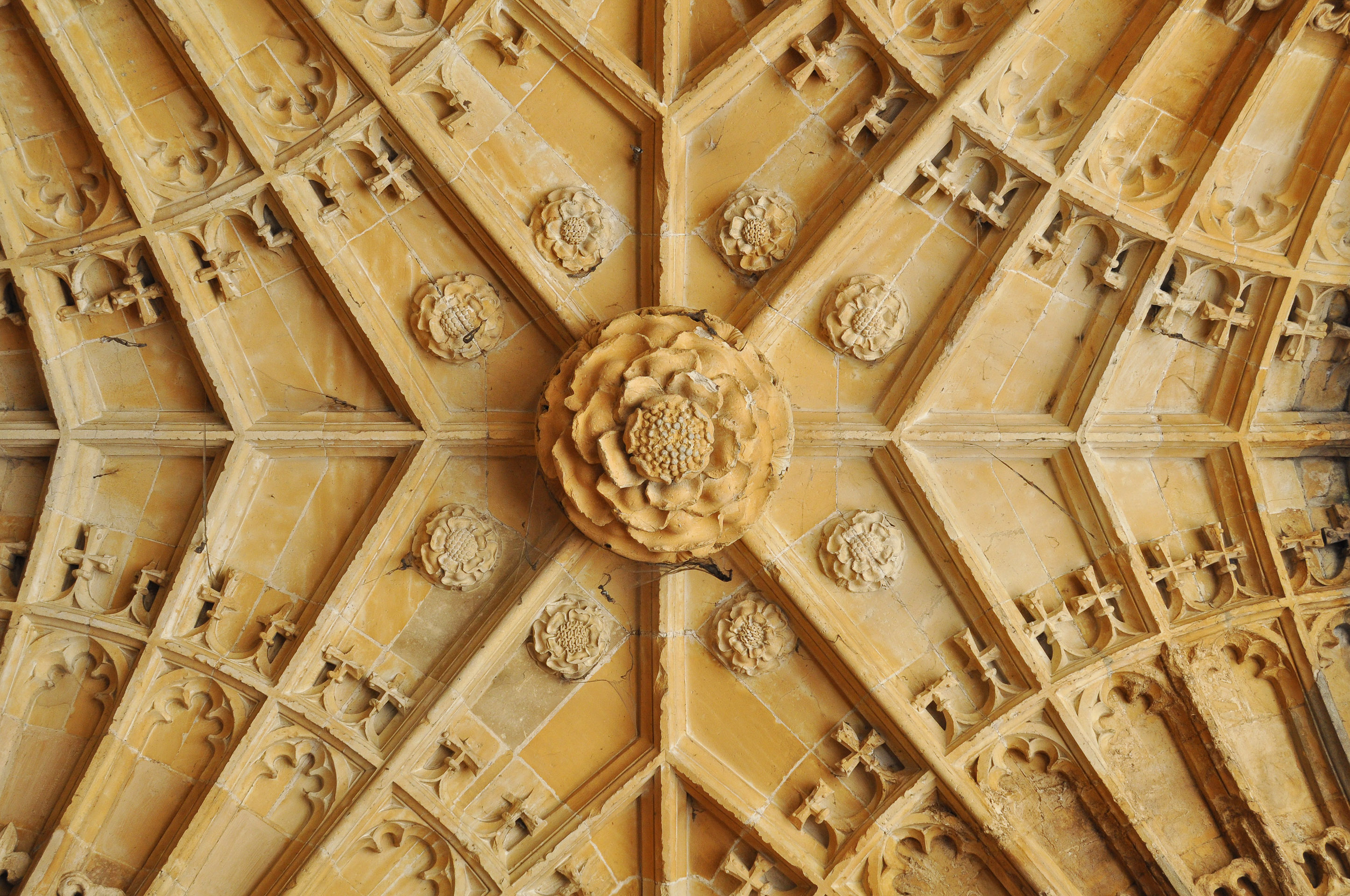 Intricate ceiling pattern