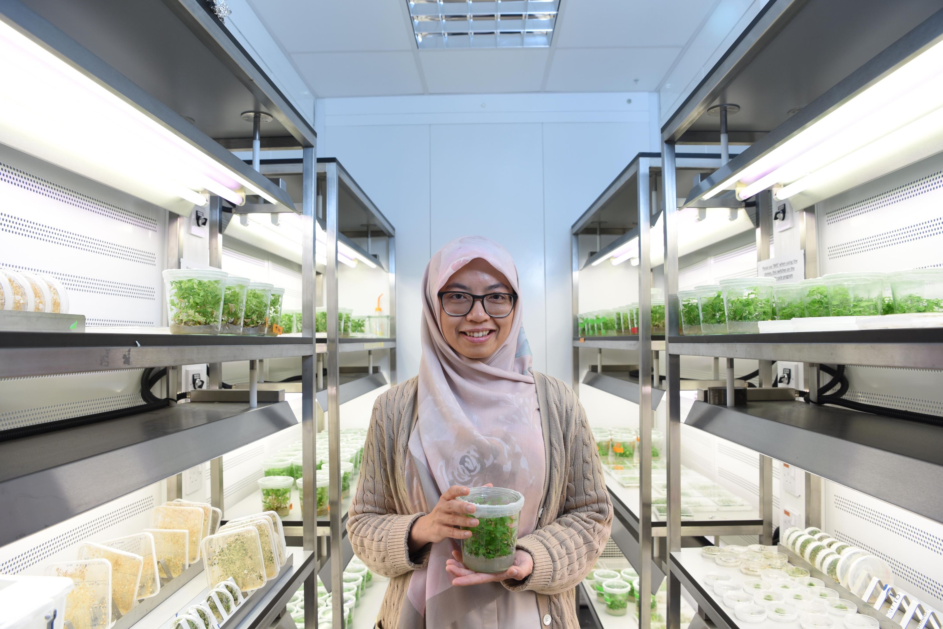 Nadia in the lab with broad beans