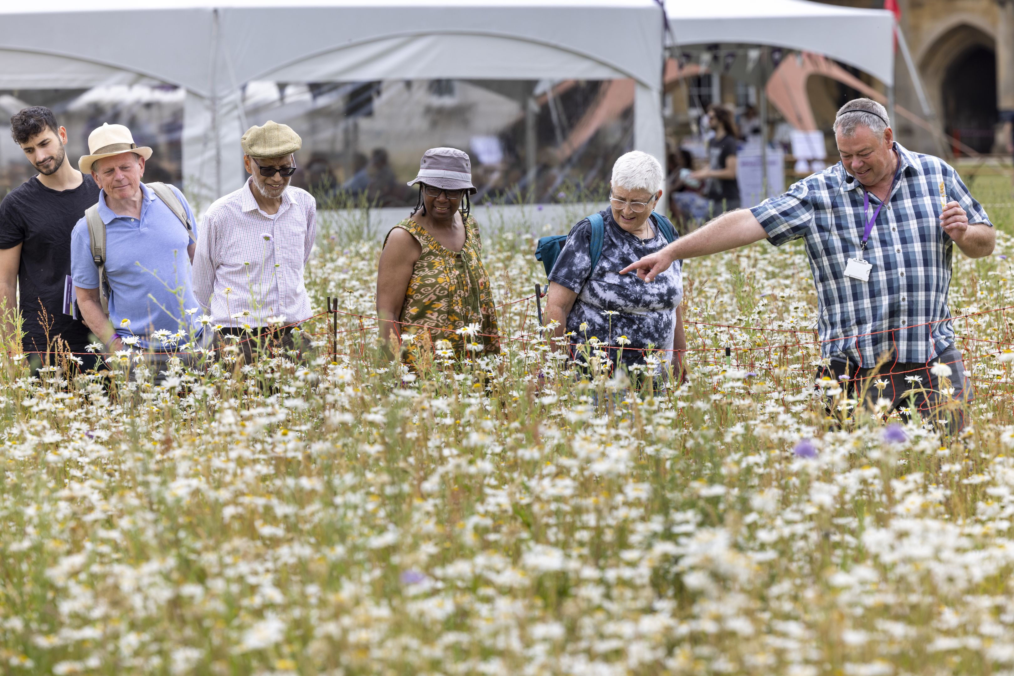 Head Gardener showing Wildflower Meadow