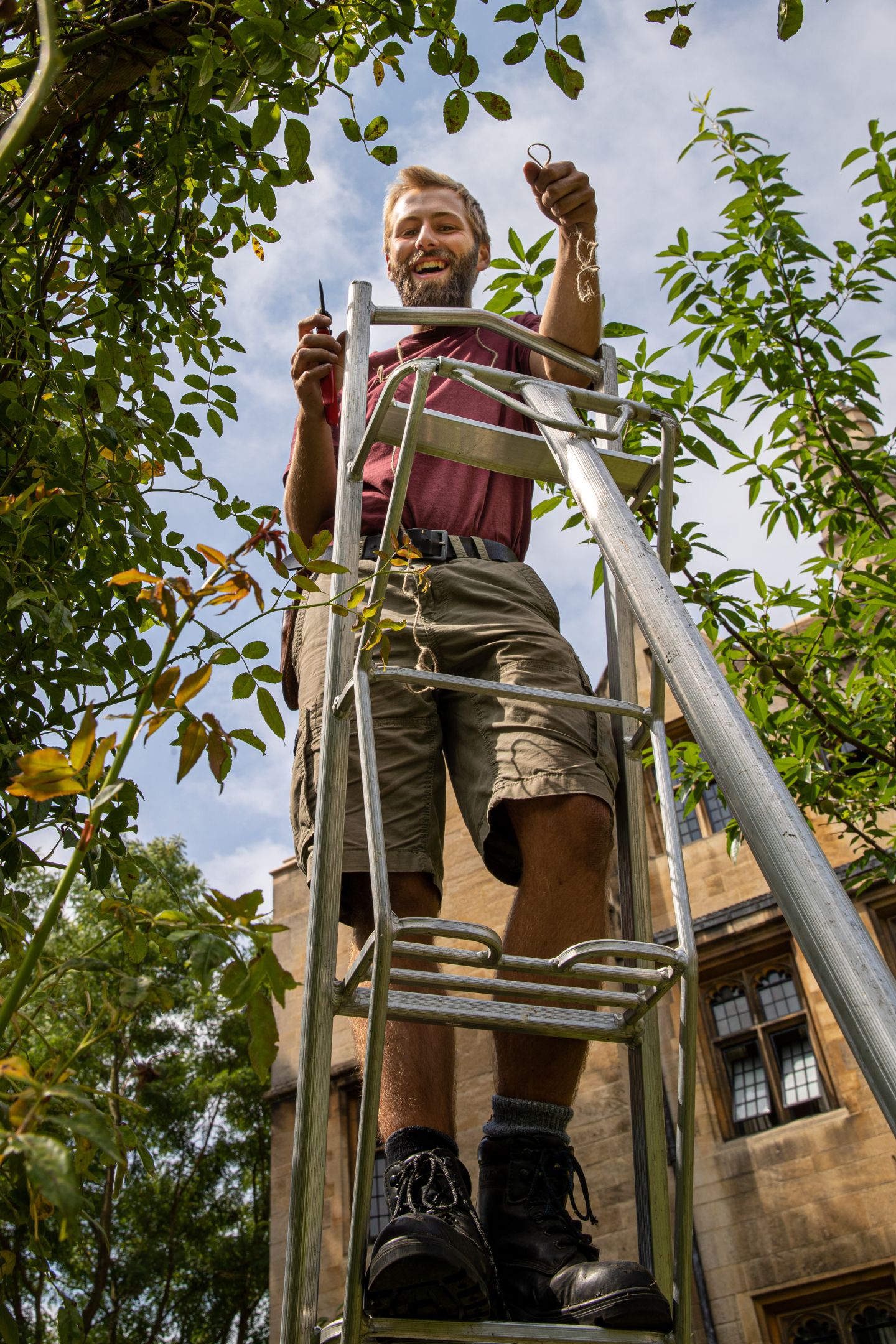 One of the gardening team at work A man standing on a ladder in a garden